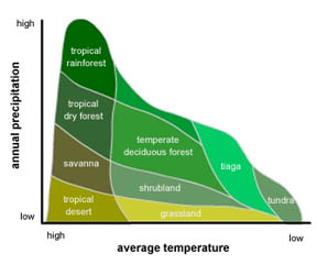 Illustration of biomes ploted by temperature and precipitation.