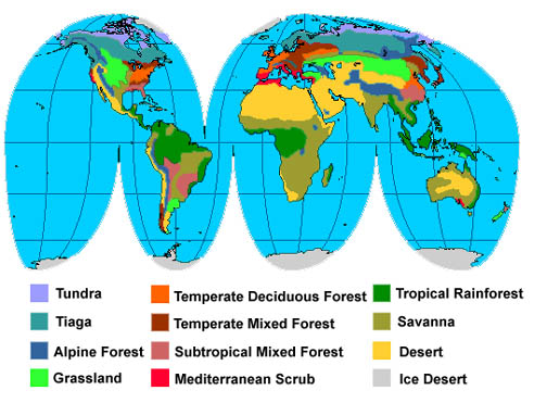 Map of the world's biomes.