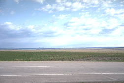 Picture of a grassland ecosystem.